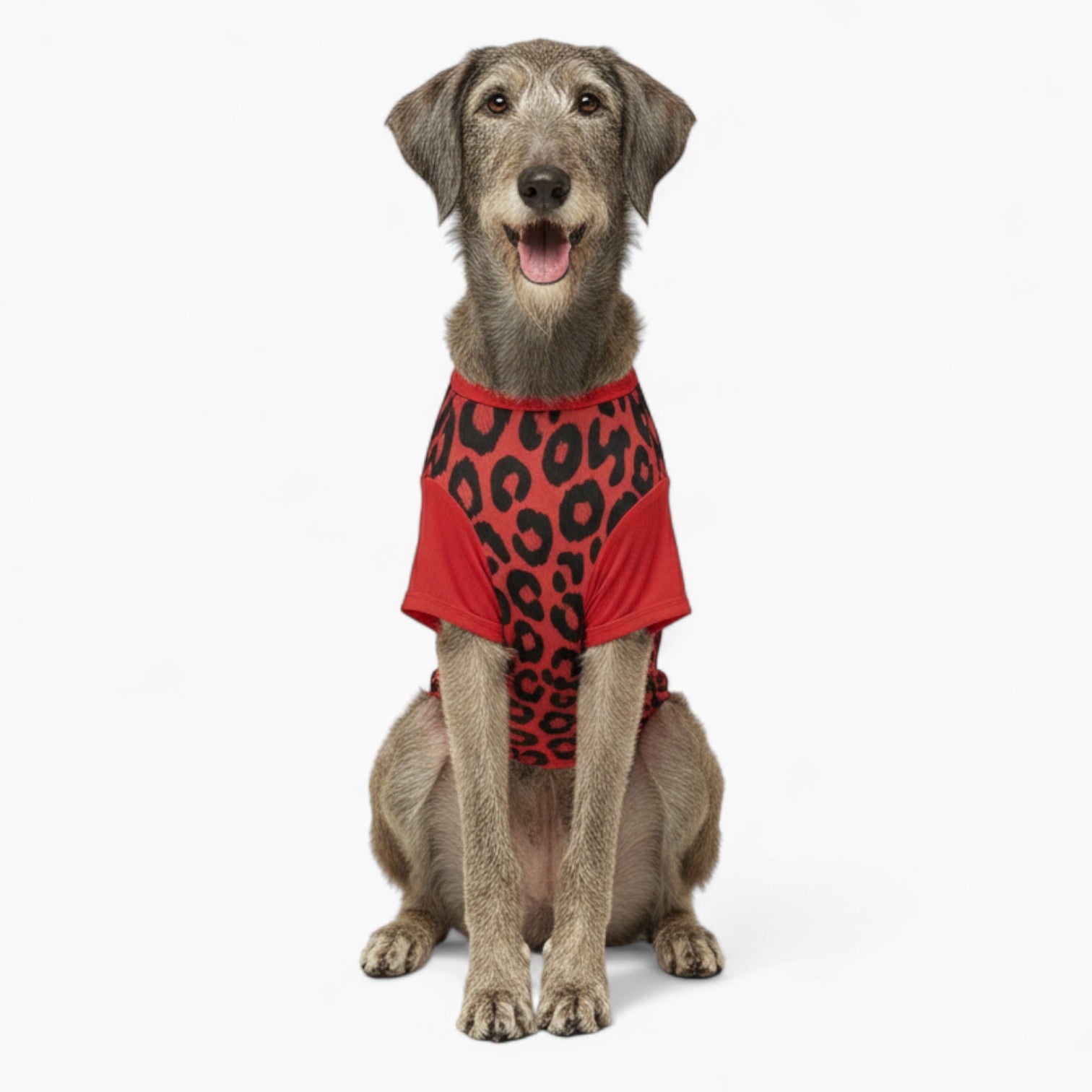 Solo - Dog Wool Sweater