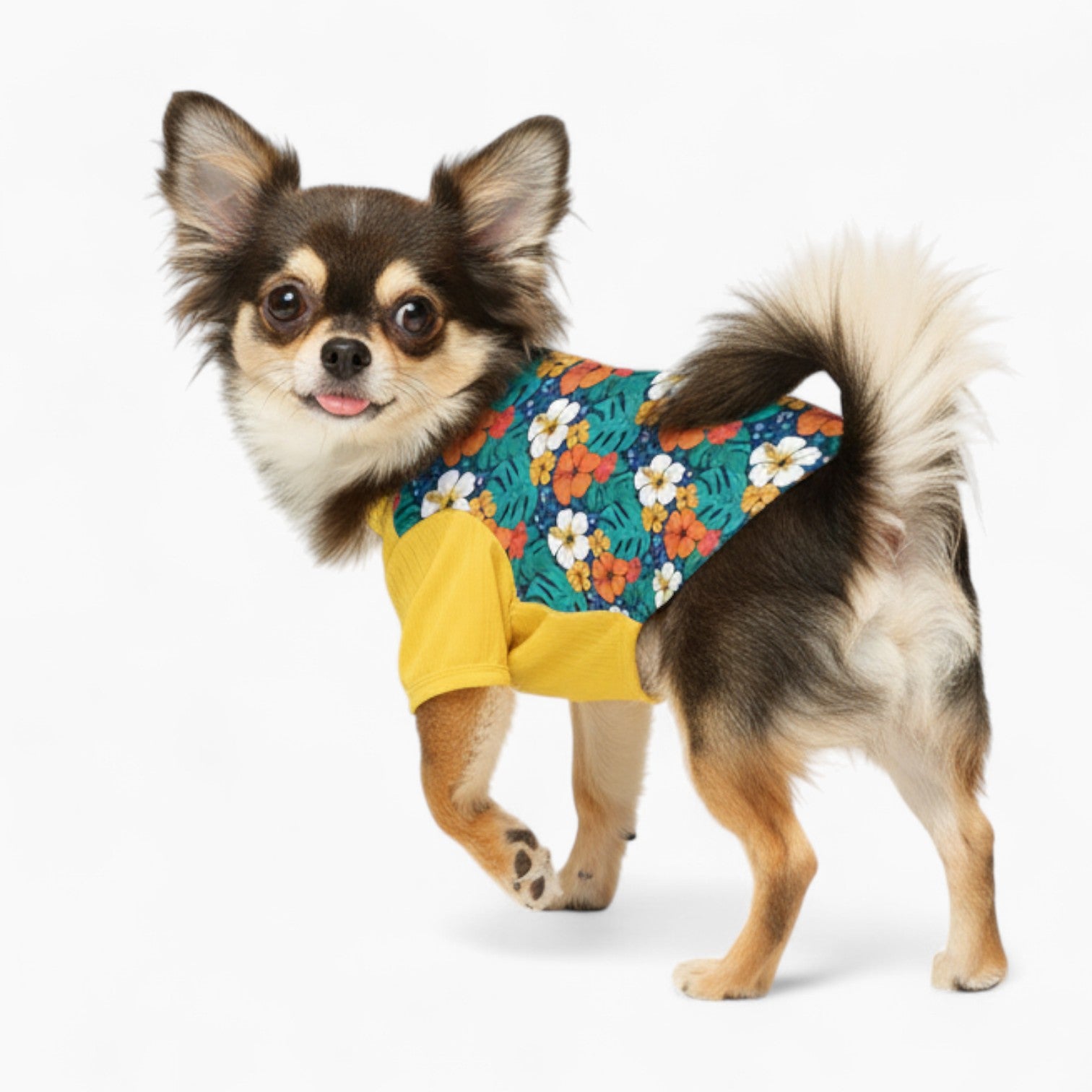 Honey - Dog Wool Sweater