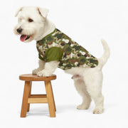Holly - Dog Wool Sweater