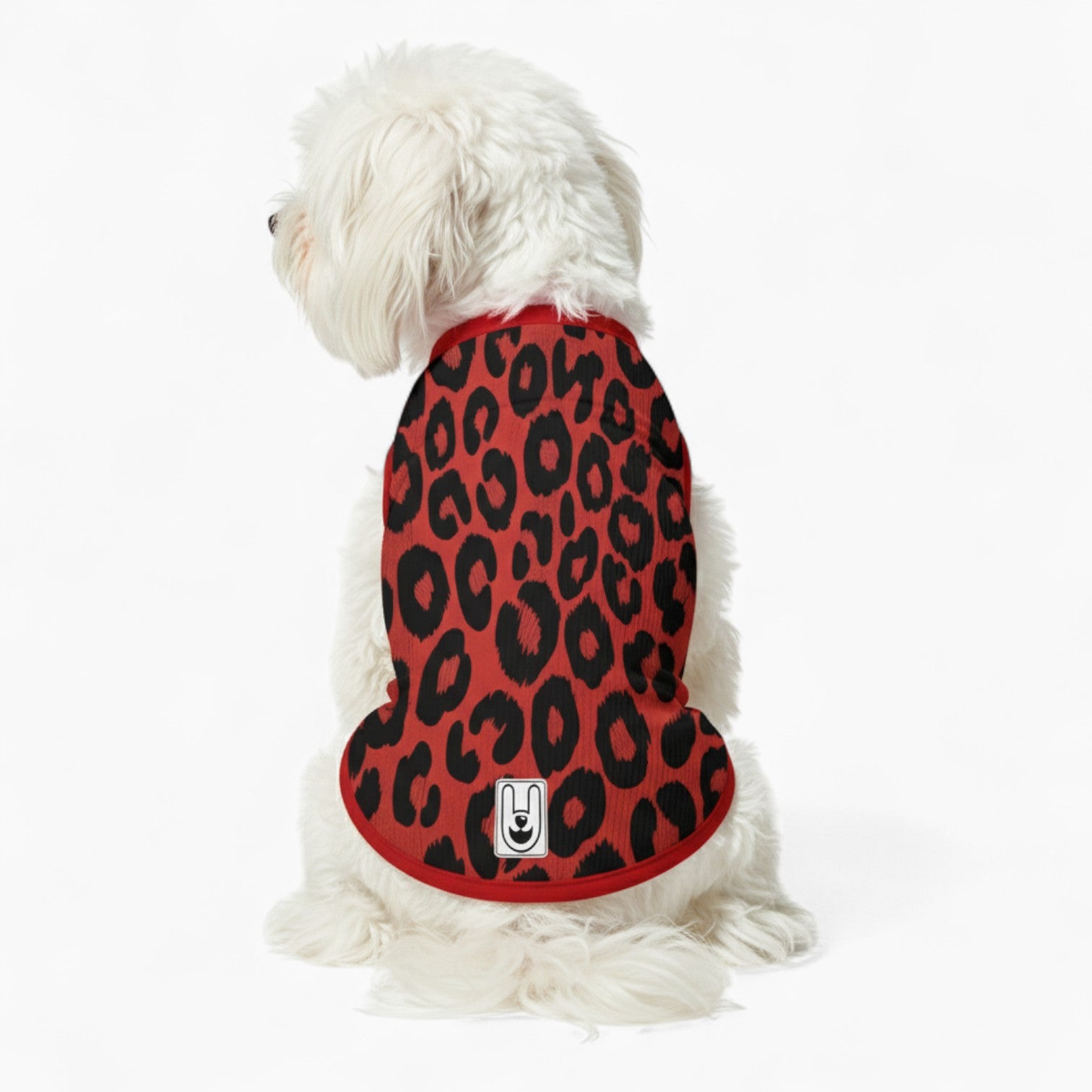 Solo - Dog Wool Sweater