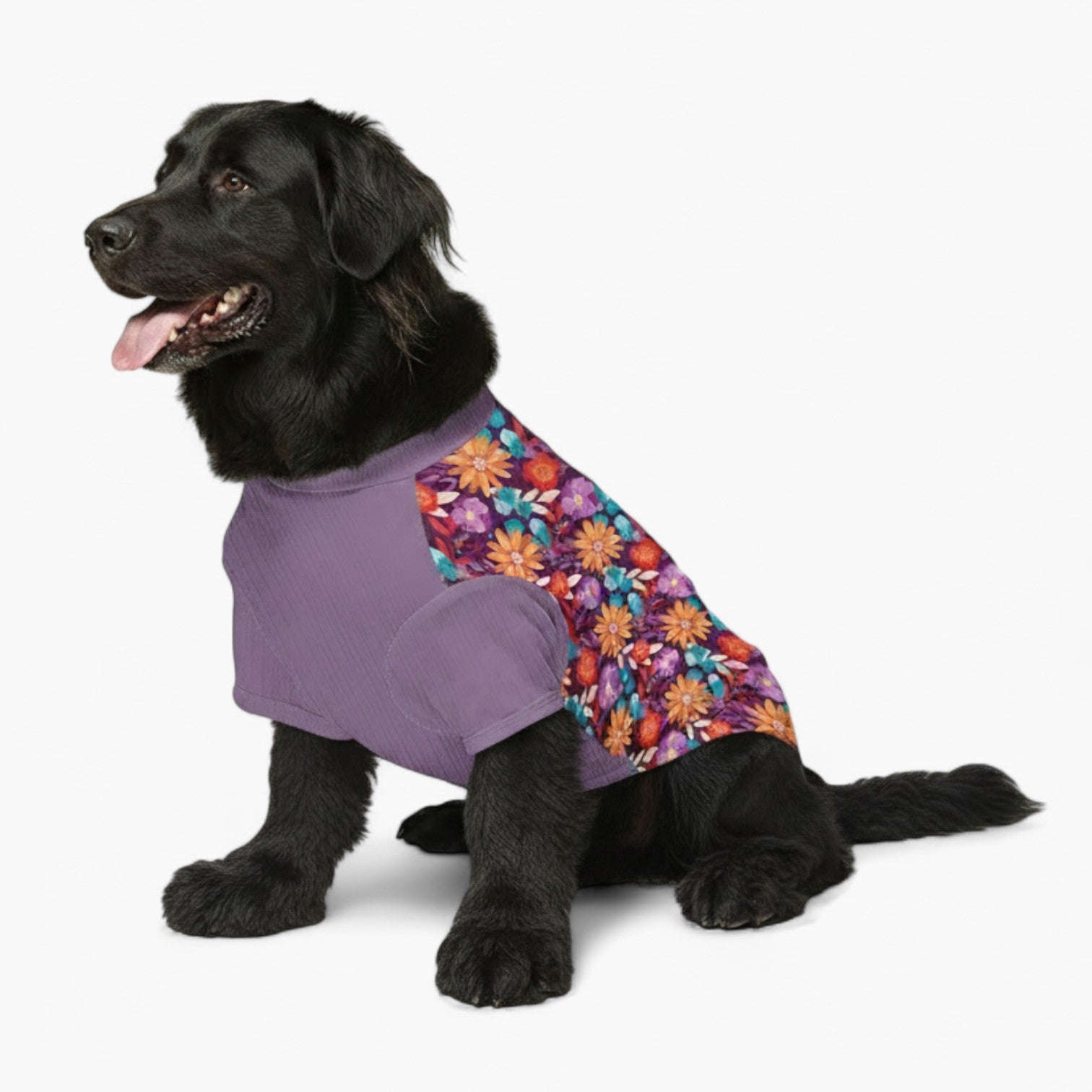 Casper - Dog Wool Sweater