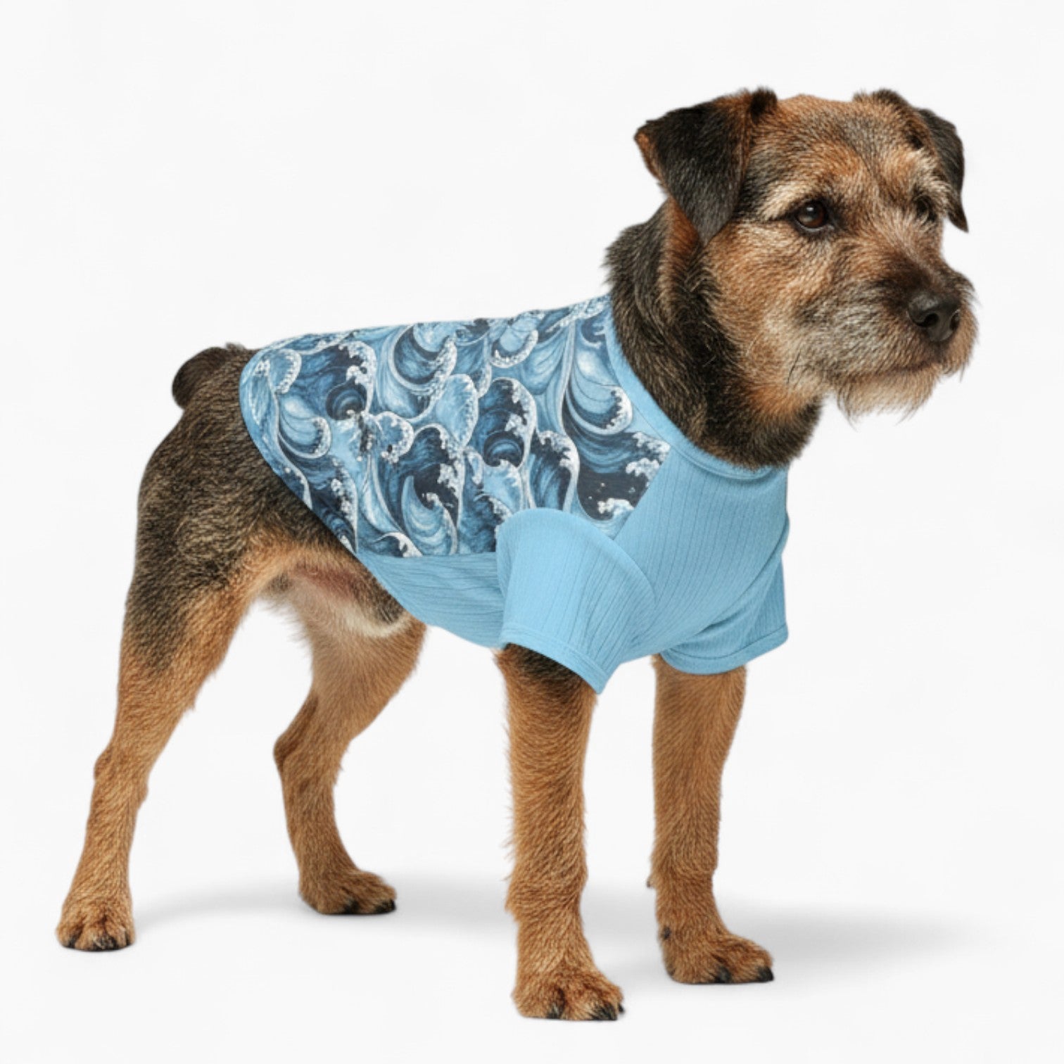 Sonny - Dog Wool Sweater