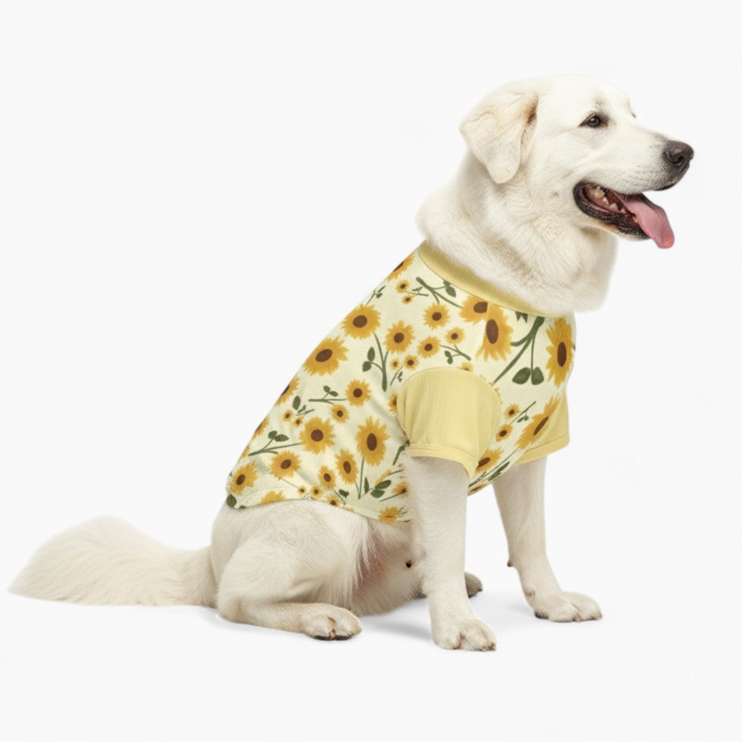 Chester - Dog Wool Sweater