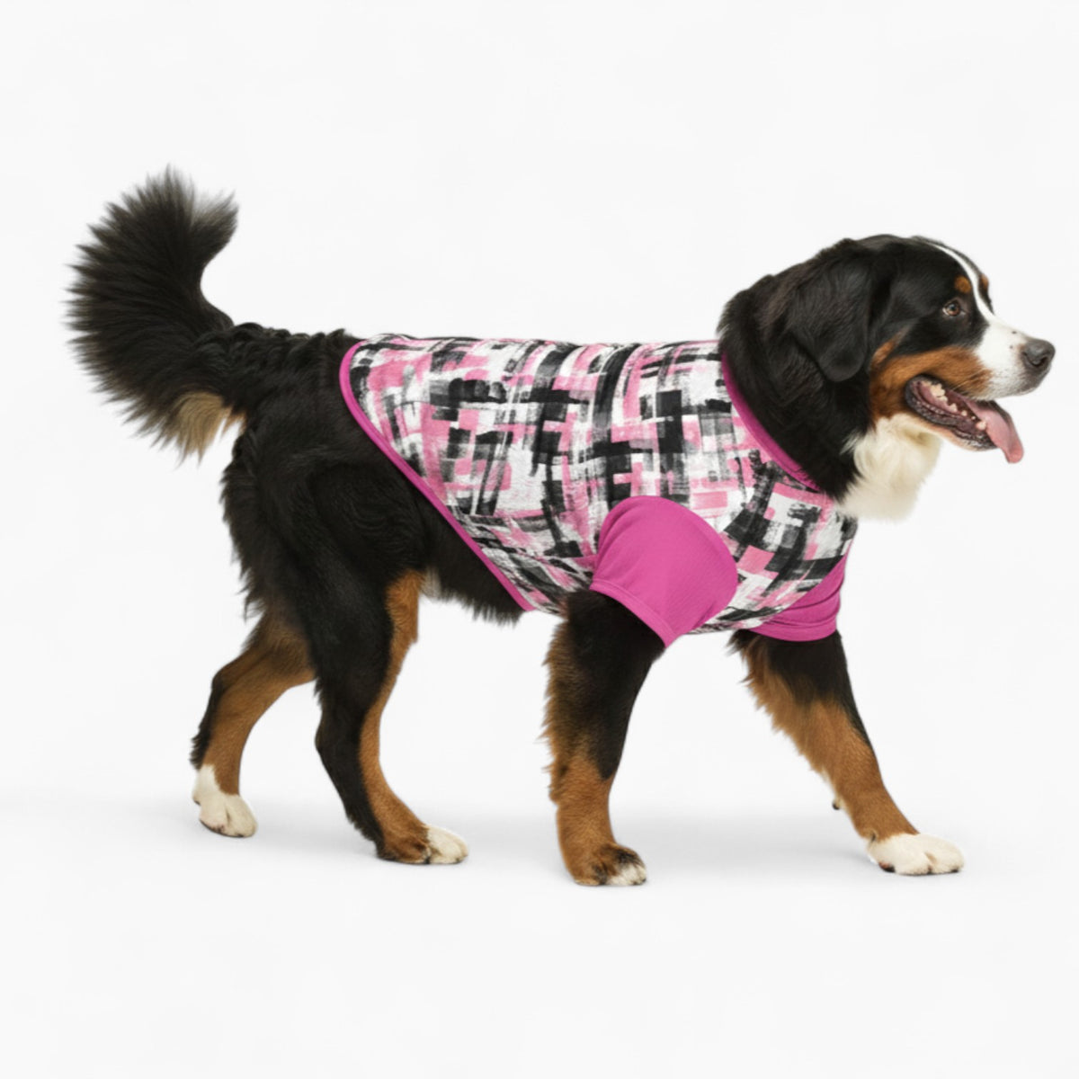 sonny - Dog Wool Sweater