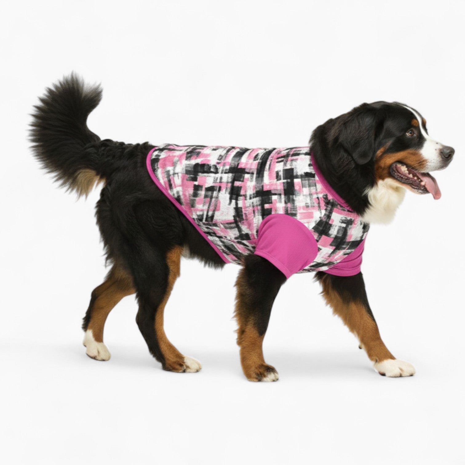 sonny - Dog Wool Sweater