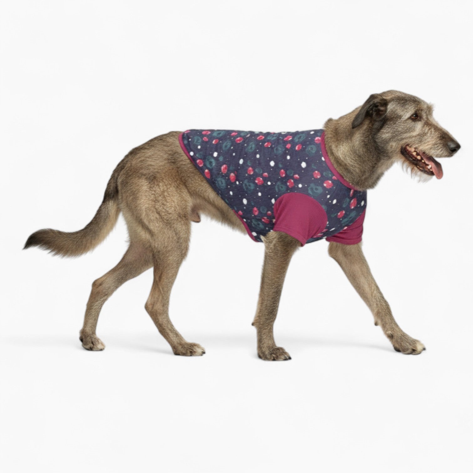 Roxy - Dog Wool Sweater