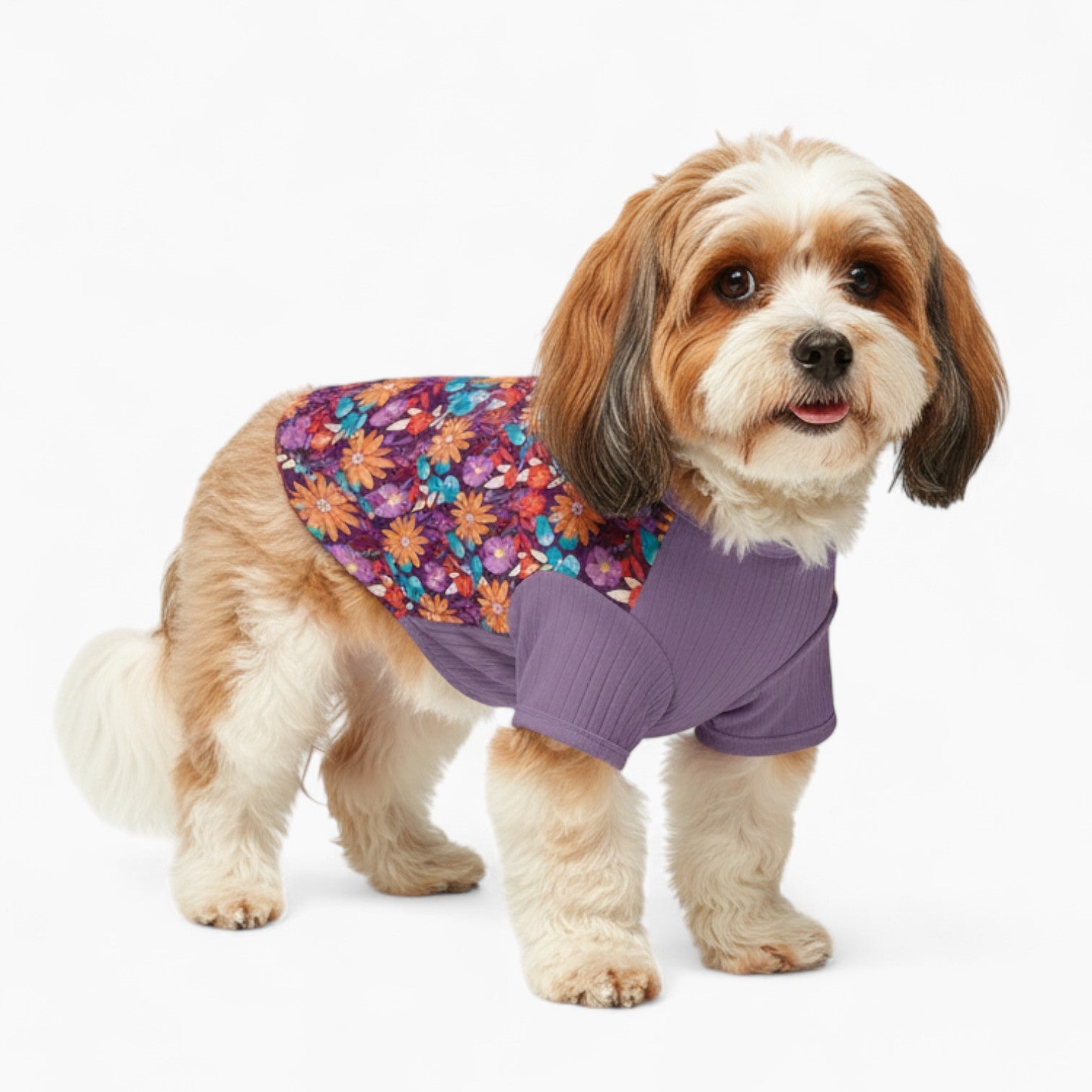 Casper - Dog Wool Sweater