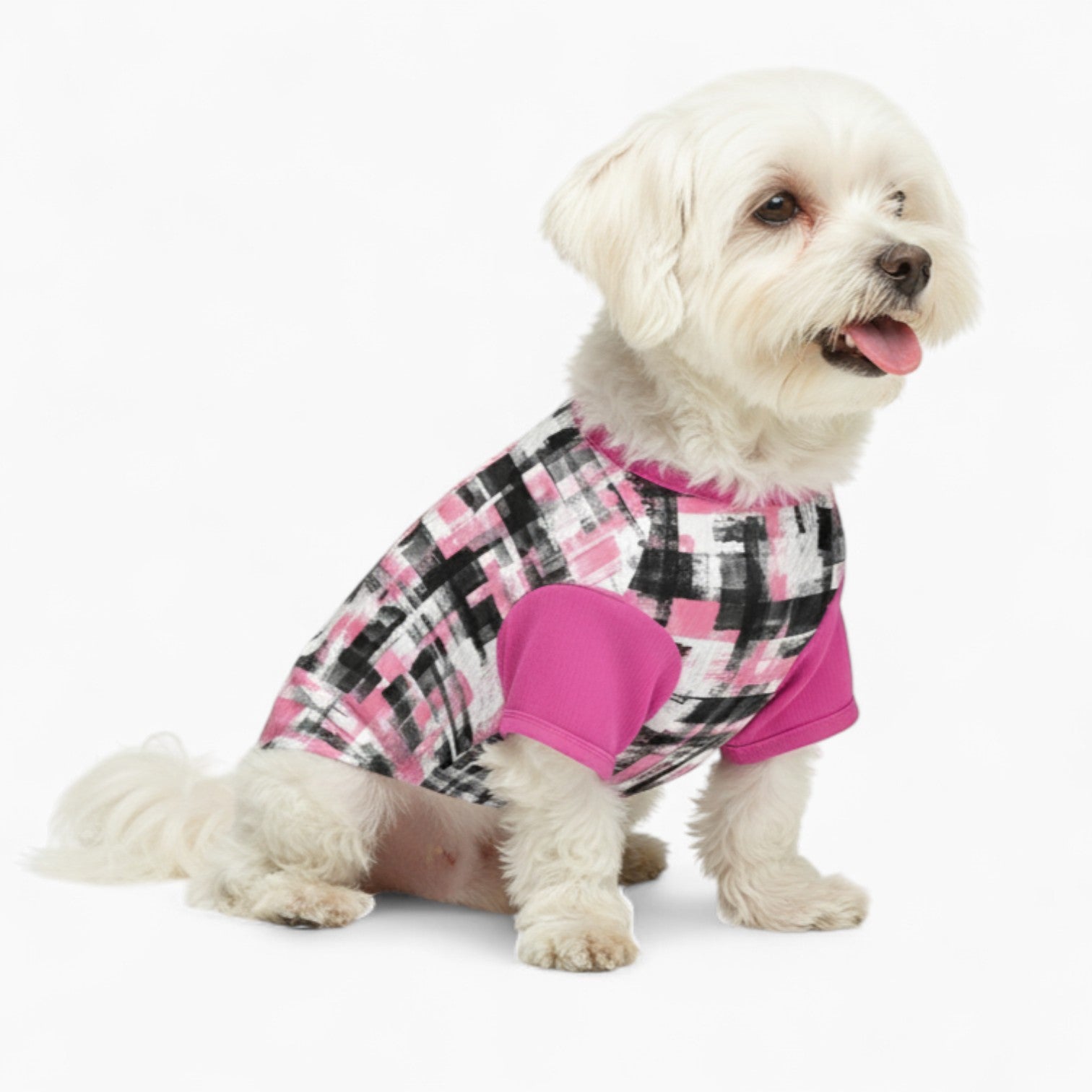 sonny - Dog Wool Sweater