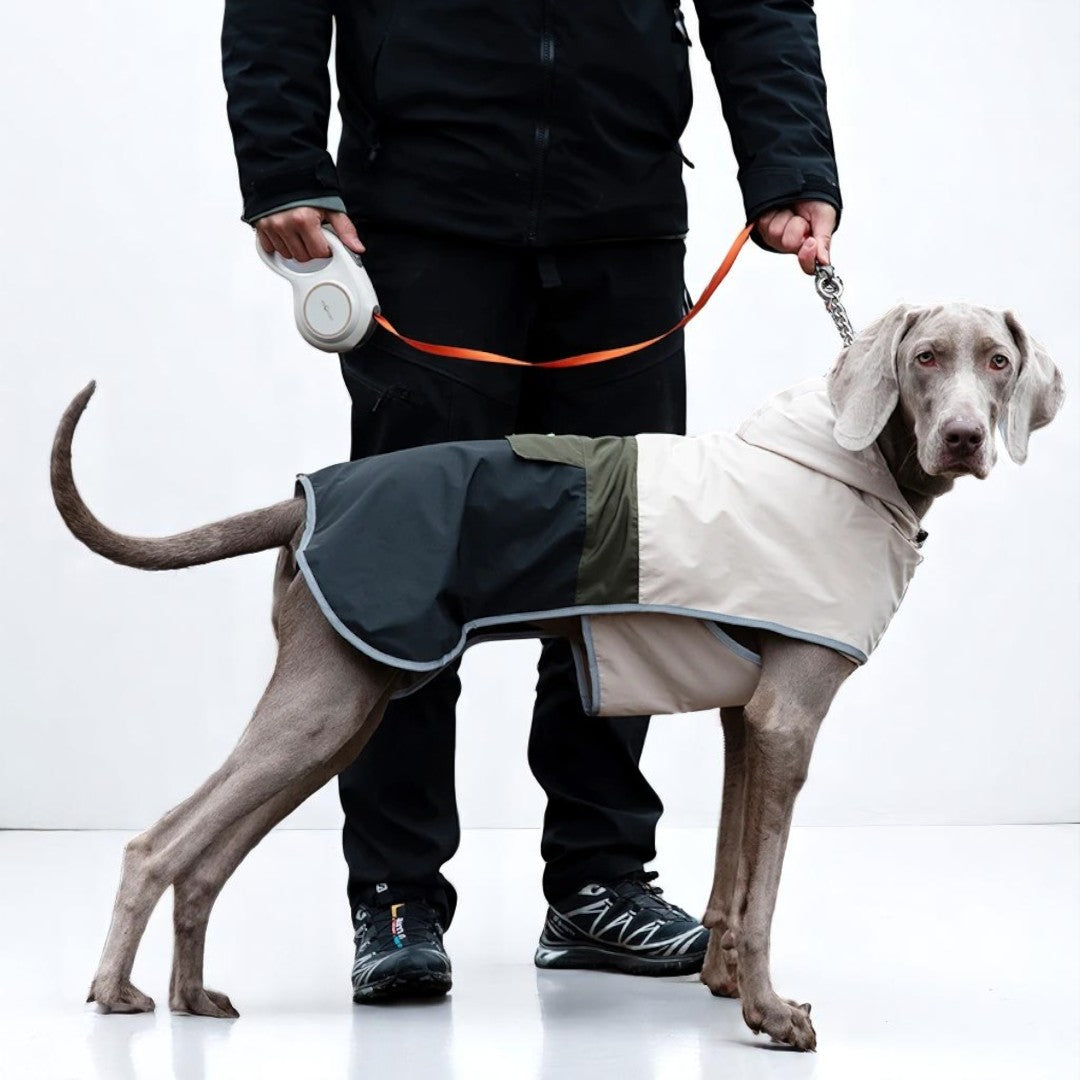 BarkBloc Waterproof Colorblock Dog Jacket