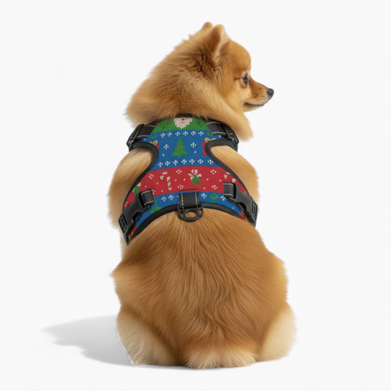 reo - NO-PULL Dog Harness & Leash Set