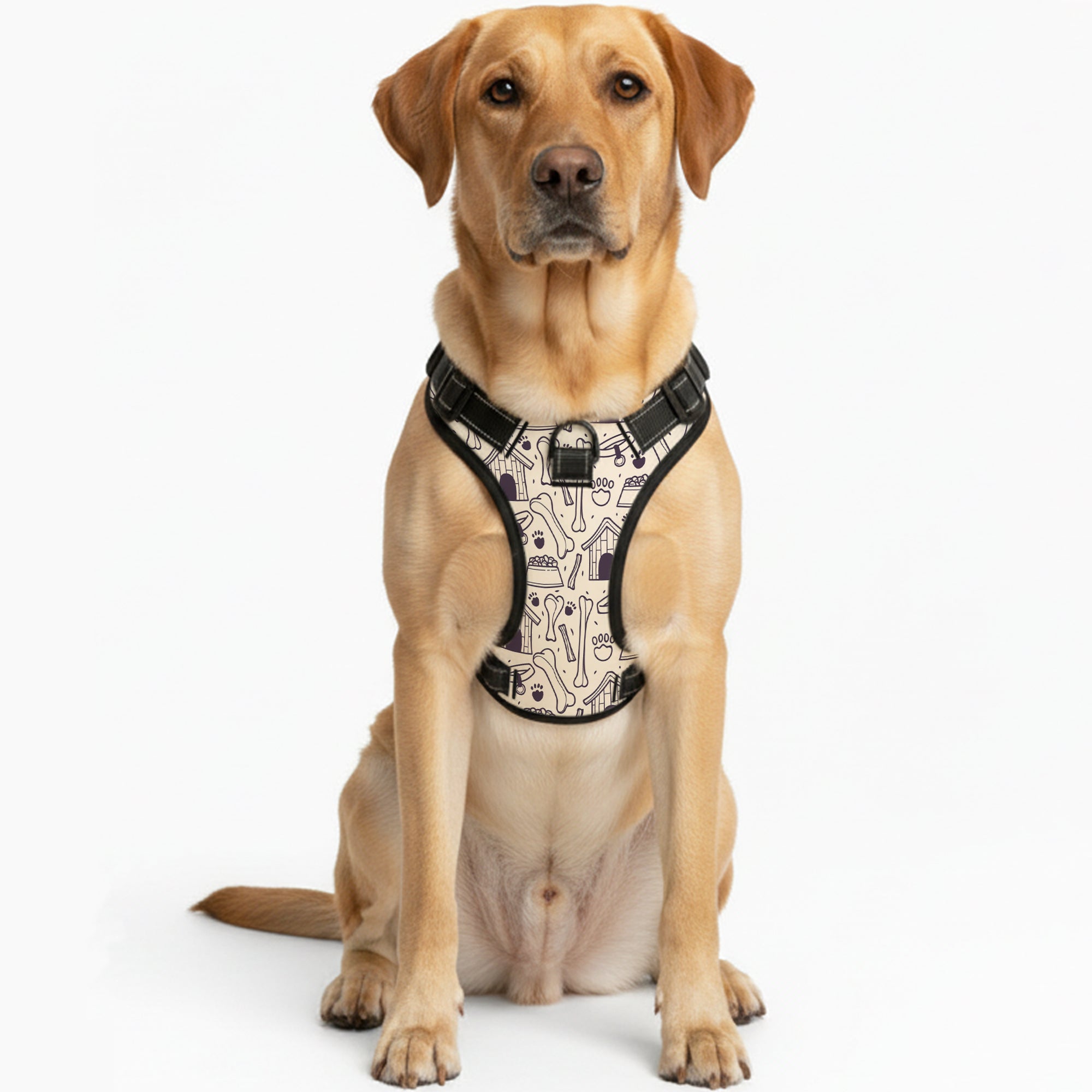 Rose  - NO-PULL Dog Harness & Leash Set | for small and large Dogs