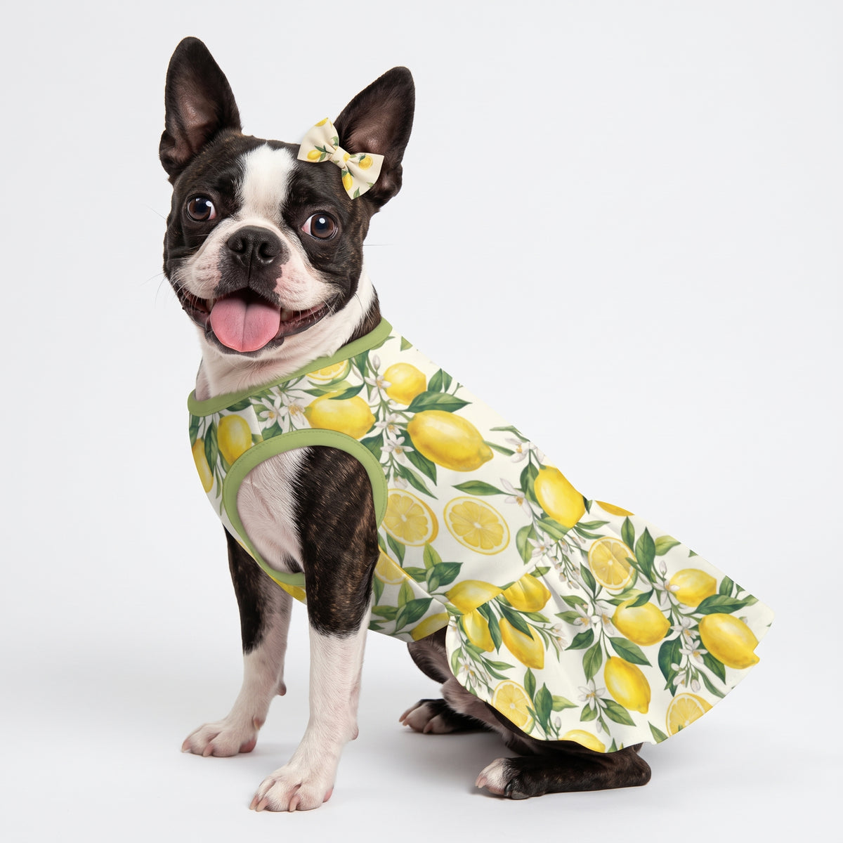 Mediterranean Lemon Blossom Small Dog Ruffle Dog Dress