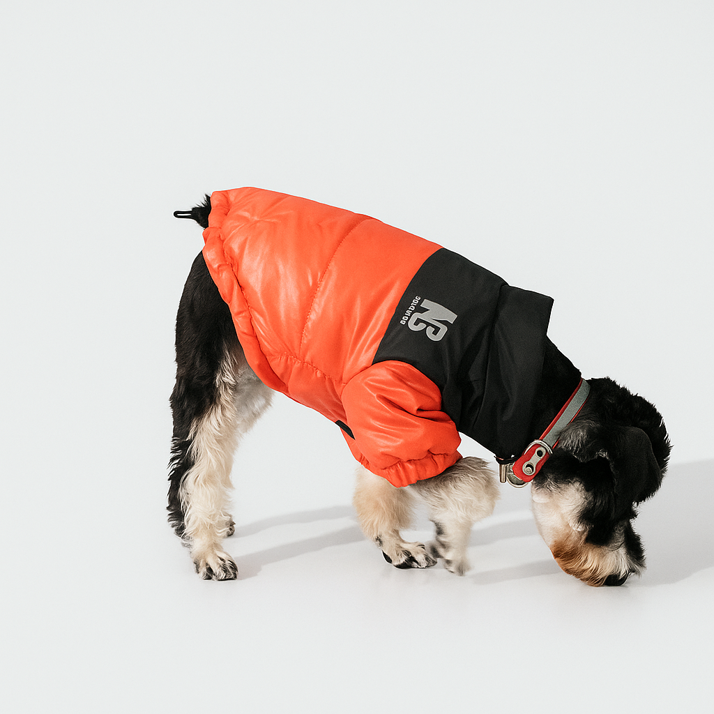 winter jackets for dogs